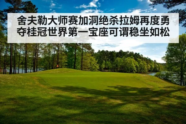 舍夫勒大师赛加洞绝杀拉姆再度勇夺桂冠世界第一宝座可谓稳坐如松