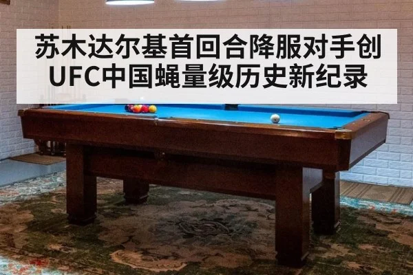 苏木达尔基首回合降服对手创UFC中国蝇量级历史新纪录