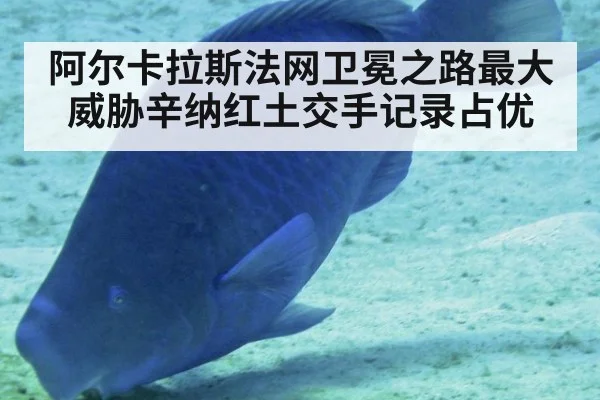 阿尔卡拉斯法网卫冕之路最大威胁辛纳红土交手记录占优